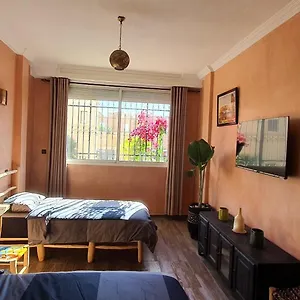  Appartement Maison Mamdy Rooftop